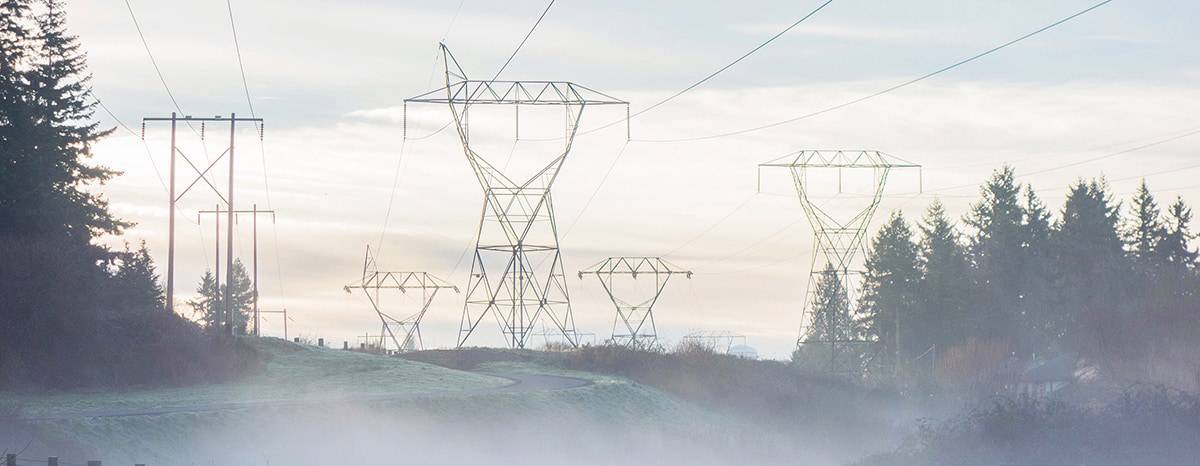 A photo of utility lines with the sunrise and evergreen trees in the background.