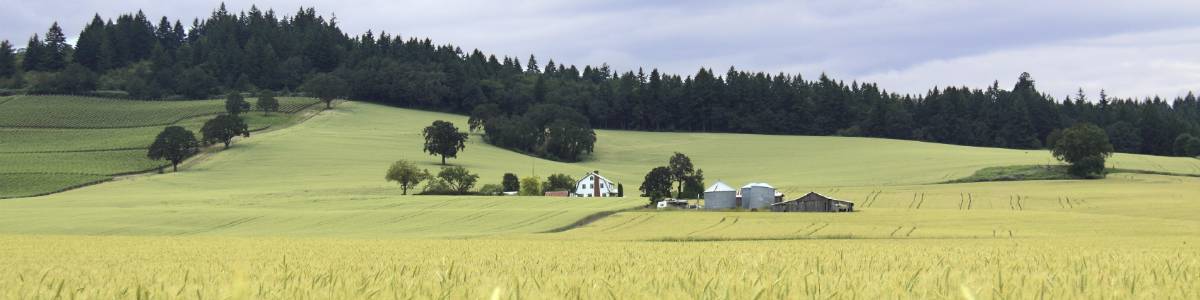 What You Need to Know About The Oregon Sick Leave Law and How it Affects Farmers