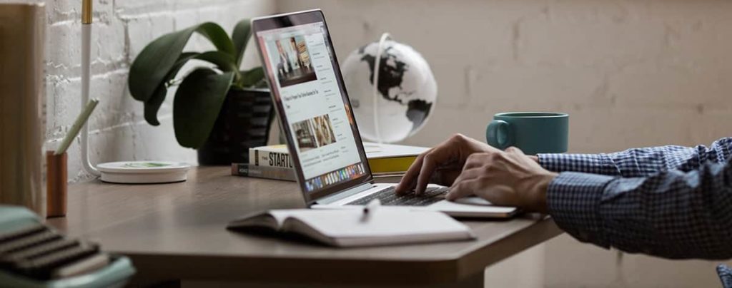 A person in their home office on their laptop with decorative globe, and plant on their desk.