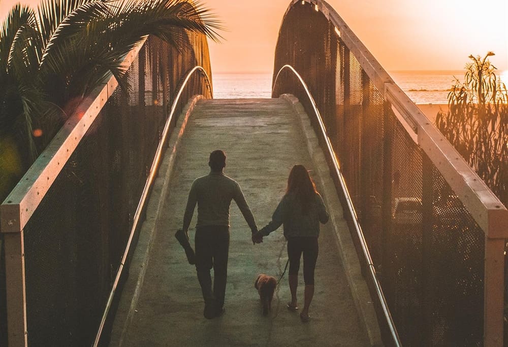 A female and male silhouette holding hands with a dog on a leash walking over a curved bridge during an orange sunset with palm trees on the sides.