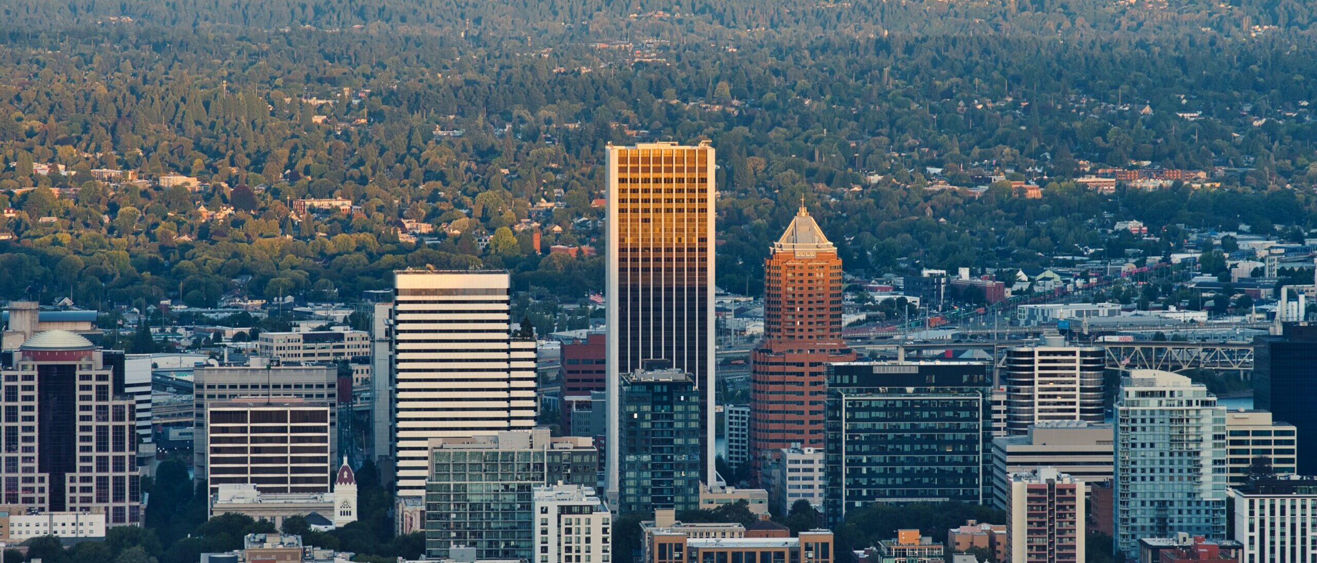 Tax Outlook for Oregon and Portland Metro Area