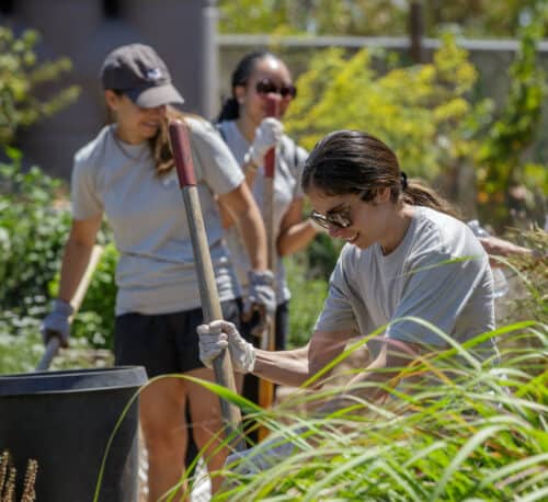 The California Aldrich teams volunteering for Aldrich Action Day, an annual day of service