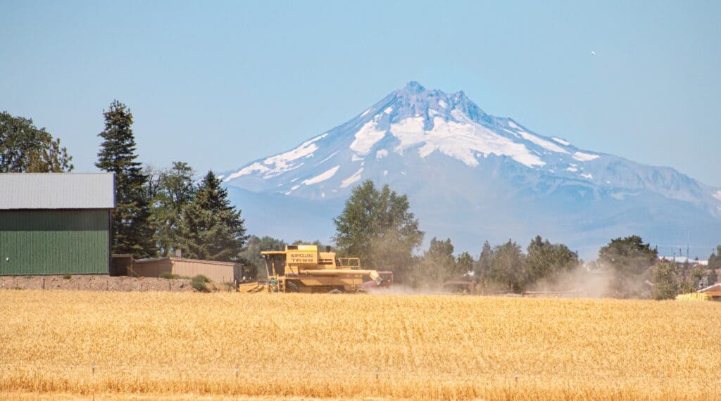 landscape photo of a farm in central Oregon with a mountain in the background