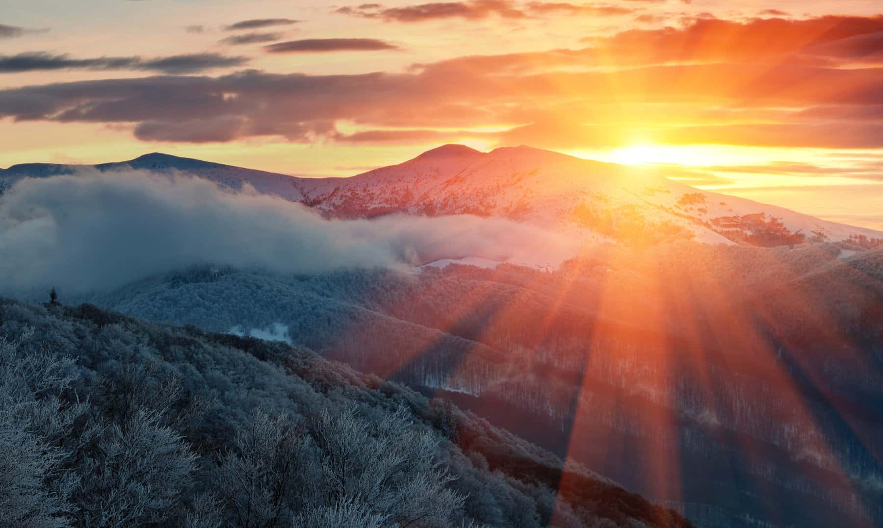 Winter sunrise on the west coast, where Aldrich was just named one of the best Tax and Accounting Firms in America by Forbes