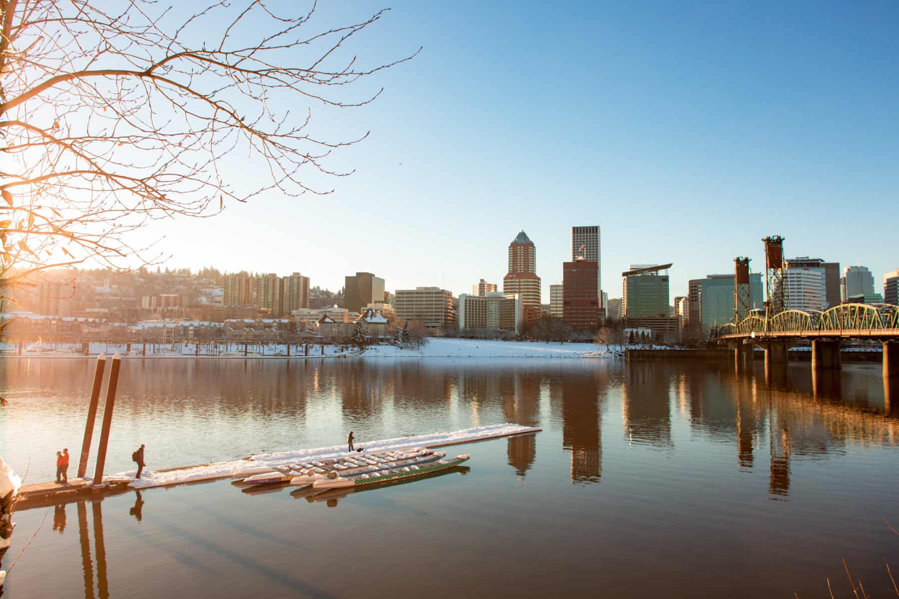 A photo of Portland, Oregon skyline with a tree on the left and the sun peaking out. The Willamette river shows in the bottom of the photo with a blue bridge to the right.