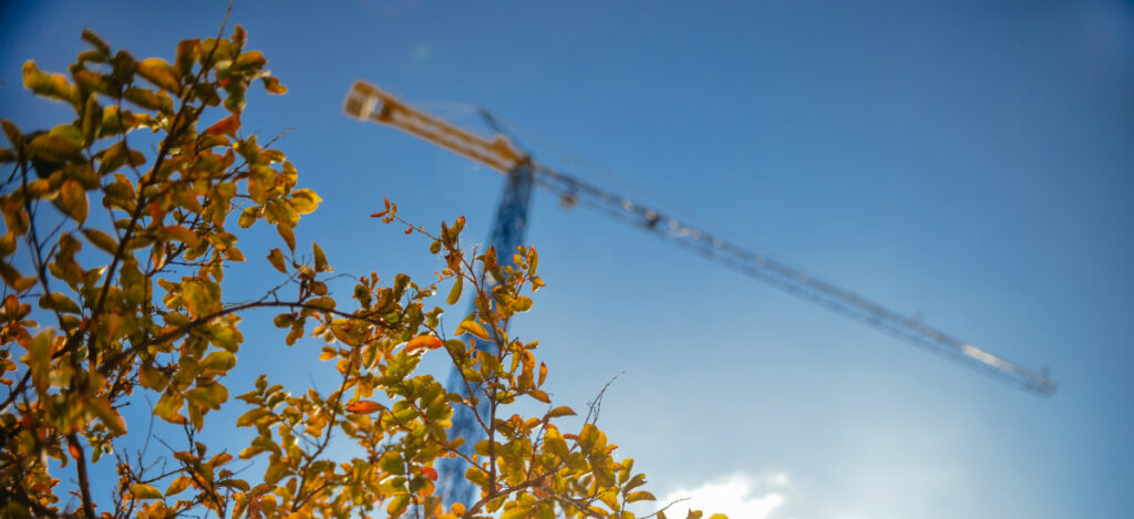 Construction Crane with Autumn Leaves on a Clear Day